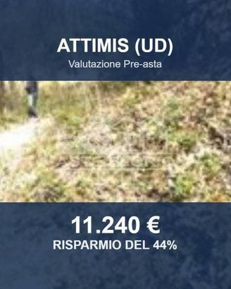 Immobile in asta di 133870 m² a Nimis