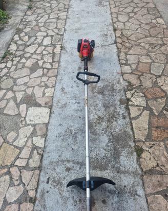 Decespugliatore Professionale ROBIN NB31 