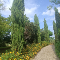 Casa rustica in campagna