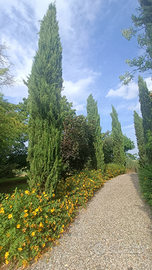 Casa rustica in campagna