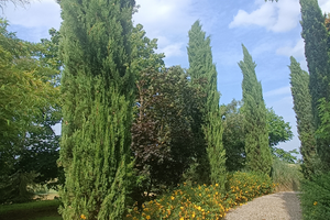 Casa rustica in campagna