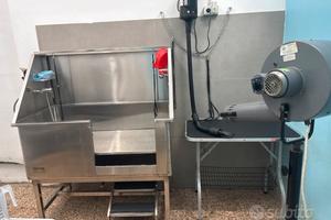 Attività dí Toelettatura per cani e gatti