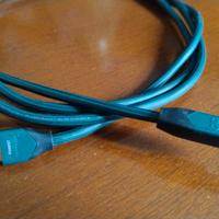 Cavo USB Audioquest Forest