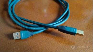 Cavo USB Audioquest Forest