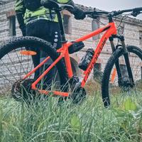 mountain bike MTB CANNONDALE trail 5