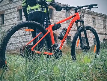 mountain bike MTB CANNONDALE trail 5