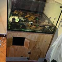 Acquario 200 l  dimensioni 80x 80x50