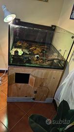 Acquario 200 l  dimensioni 80x 80x50