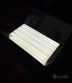 Lupo Quadrilight 2000