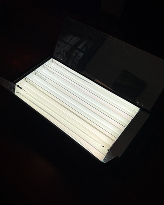 Lupo Quadrilight 2000