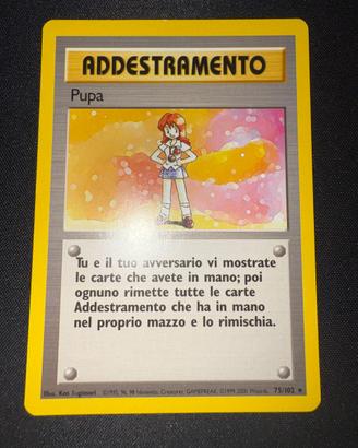 Pupa Set Base 75/102
