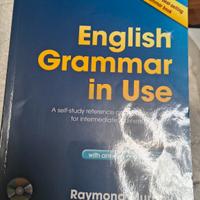 english Cambridge grammar