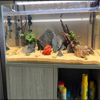 Acquario completo Blau 80 litri