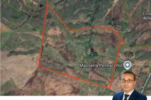 Terreni agricoli ettari 200