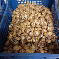 Lumache da terra e derivati