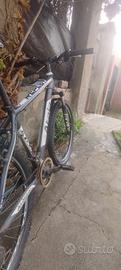 Bicicletta MTB