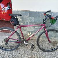 bici specialized rock hopper comp