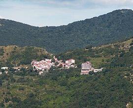 Entroterra appennino ligure, parco antola