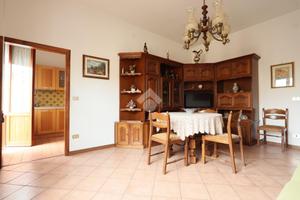 5 LOCALI A ALBA ADRIATICA