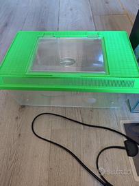 Terrario/faunabox + tappetino riscaldante