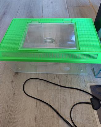 Terrario/faunabox + tappetino riscaldante