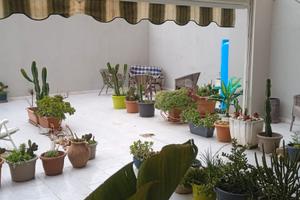 Trilocale piano rialzato con terrazza