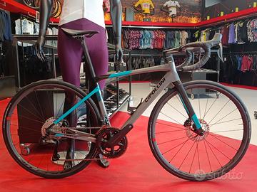 CIPOLLINI DLOMIA TG S NUOVA