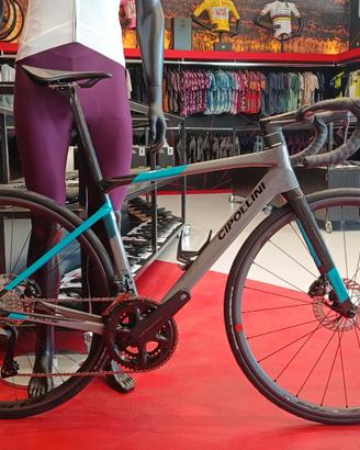 CIPOLLINI DLOMIA TG S NUOVA