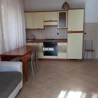 POMEZIA BiLOCALE ARREDATO E BEN COLLEGATO