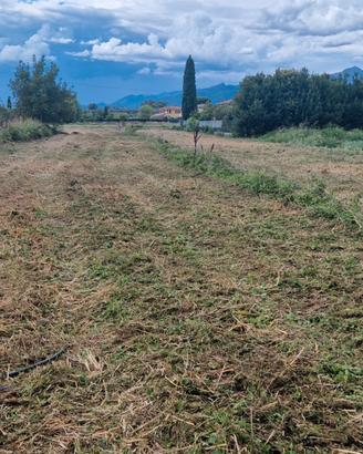 terreno agricolo,Capezzano pianore 