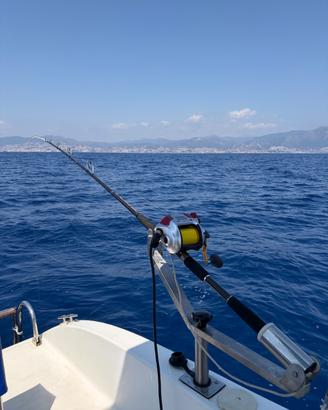 Canna da bolentino Falcon blue fighter boat