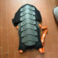 Protezione schiena, conchiglia, tartaruga,
