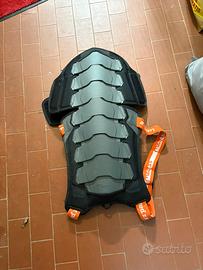 Protezione schiena, conchiglia, tartaruga,