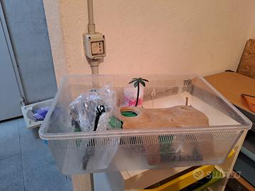 Acquario per tartarughe