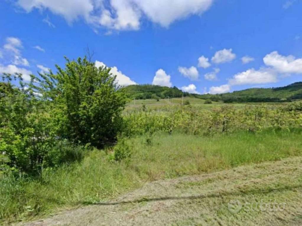 Immobile in asta di 2535 m² a Borgoratto Mormorolo - Vista 2