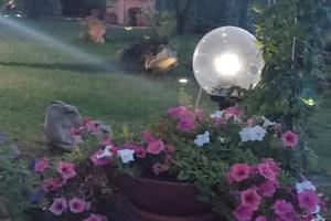 Spazioso bilocale San Teodoro