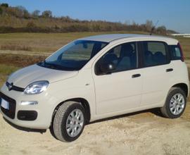FIAT Panda 3ª serie - 2016