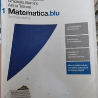 Matematica.blu 1