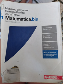 Matematica.blu 1