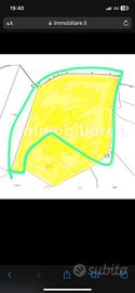 5.6 ha terreno agricolo irriguo+ pozzo