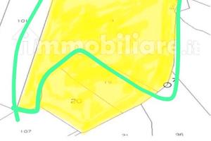 5.6 ha terreno agricolo irriguo+ pozzo