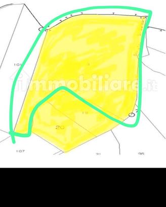 5.6 ha terreno agricolo irriguo+ pozzo
