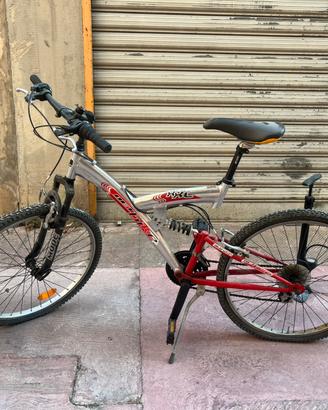 Bici netbike XXL