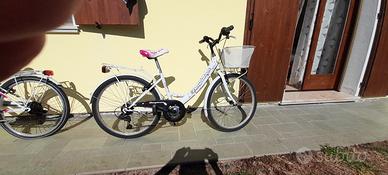 bicicletta 