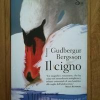 IL CIGNO, Gudbergur Bergsson, Il Saggiatore, 2001