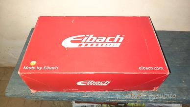 Molle Eibach Pro M