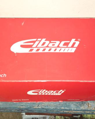 Molle Eibach Pro M