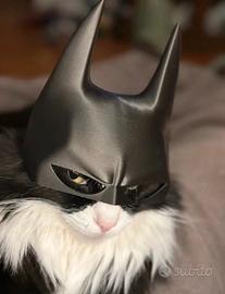Maschera Batman per Gatti "Batcat"