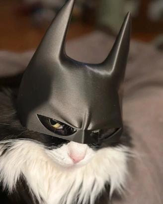 Maschera Batman per Gatti "Batcat"