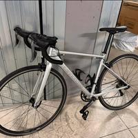 Cannondale Optimo 4